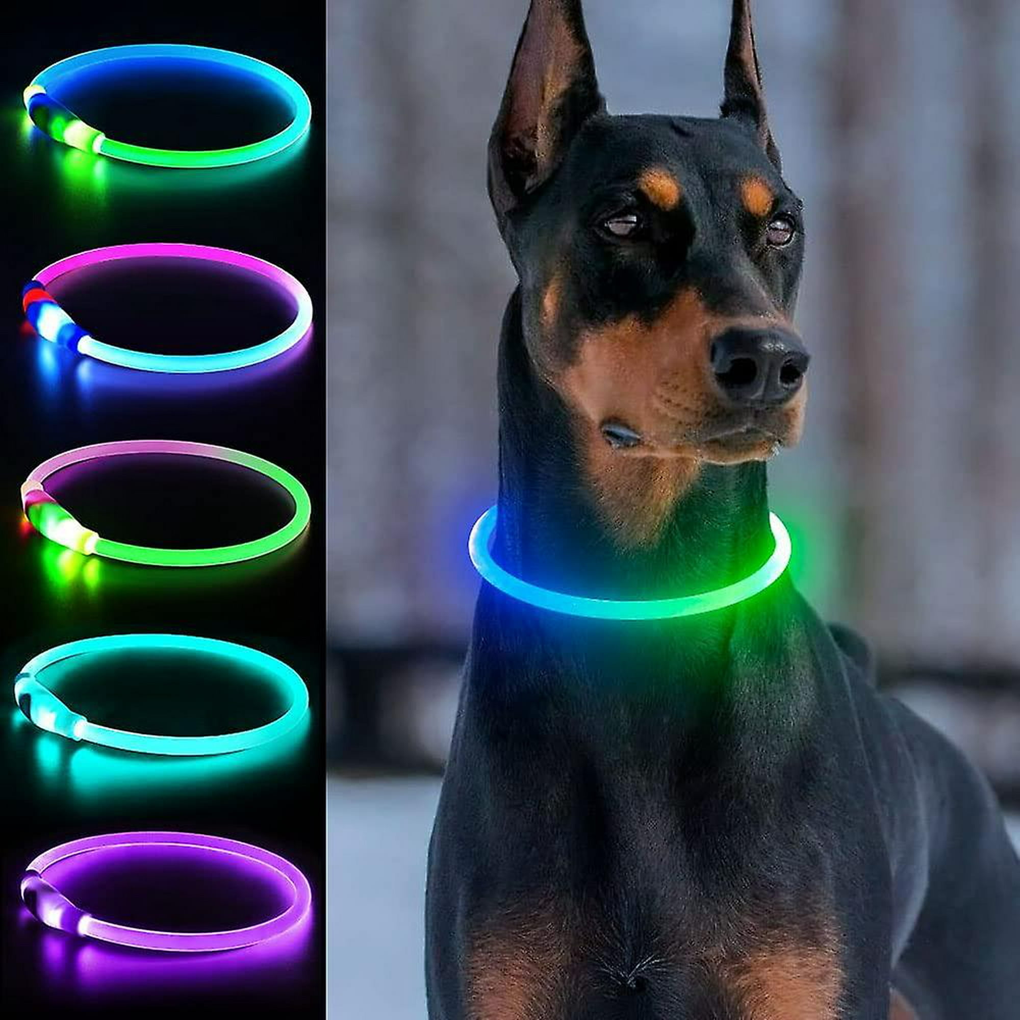 Los 10 mejores collares luminosos para tu perro 