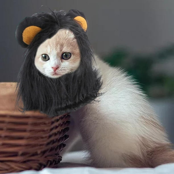 León Mane Cat Disfraz Fancy Valentine Victorious Traje Traje Traje S  Yuyangstore melena de león para gato