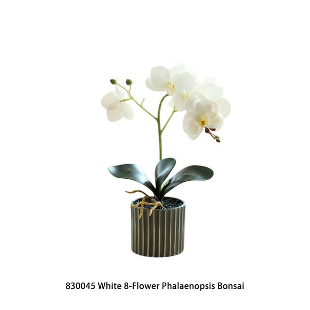  Hermosas orquídeas artificiales de seda orquídea blanca rosa  Phalaenopsis ramo de flores falsas con jarrón al aire libre boda hogar  oficina decoración flores : Hogar y Cocina