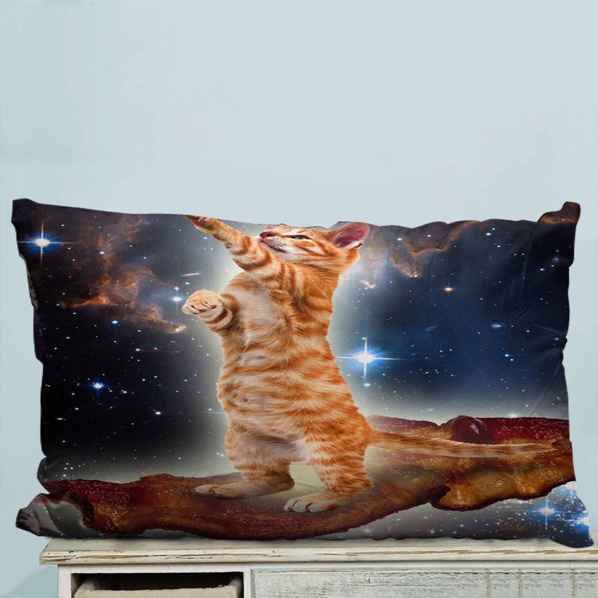 Cats Funda de almohada 50x75 cm