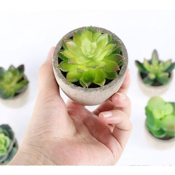 1 Uds. Planta Artificial de interior pequeña planta suculenta de plástico  Artificial con maceta de cerámica decoración de plantas verdes falsas-feliz  loto 7,5*6,5 cm Kuyhfg Sin marca