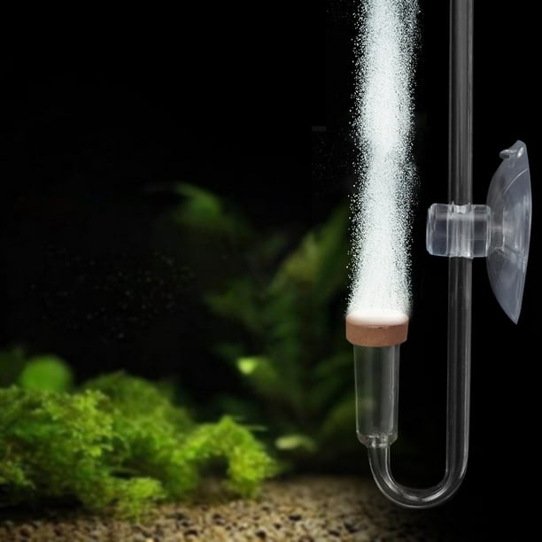  Clscea Atomizador difusor de CO2 de vidrio para acuario con  válvula de retención de tubo en U Versión Premium : Productos para Animales