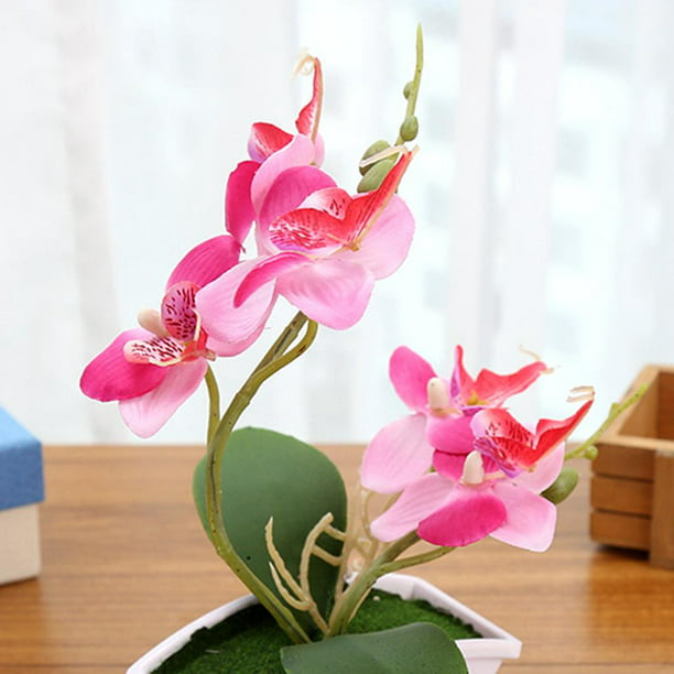 Busto con arreglo de orquídeas