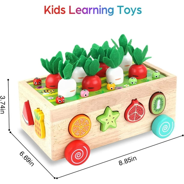Juguetes Montessori para niños de 2 a 3 años, juguetes educativos para  niñas de 3, 4, 5 años, regalos de cumpleaños, actividades de aprendizaje