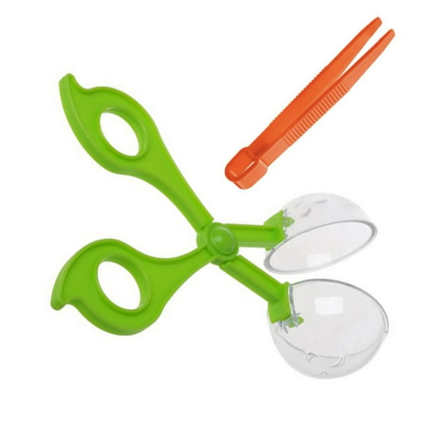 Tholdsy Pinza de tijera de plástico para insectos con pinzas, herramientas  para atrapar mariposas, juguetes para niños, juguete de Juguetes Educativos