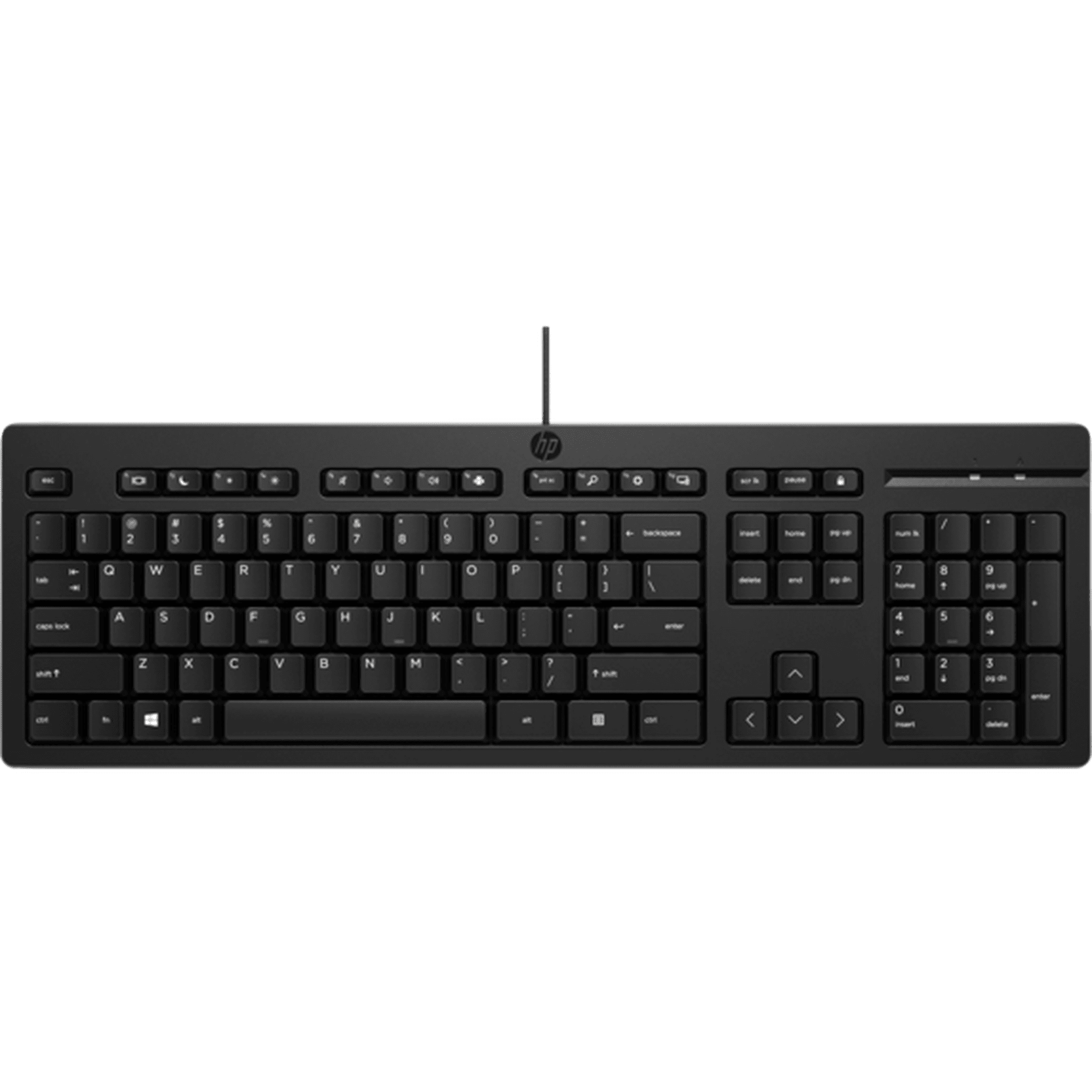 Teclado HP 125 alambrico (266C9AA) | Walmart en línea