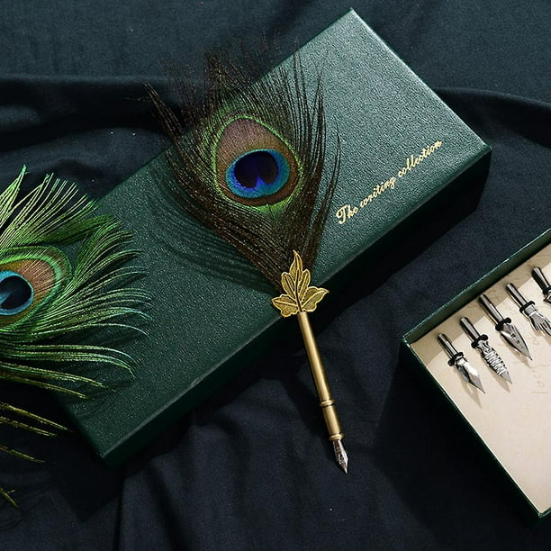 Juego de bolígrafos de pluma de plumas, pluma de pavo real vintage con  soporte, 5 piezas de pluma de metal para escribir caligrafía para  principiantes