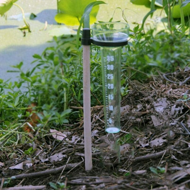 Pluviómetro de tipo Simple, herramientas de técnico agrícola de registro de  observación de lluvia, taza medidora de plástico PS con palo de madera  pequeño