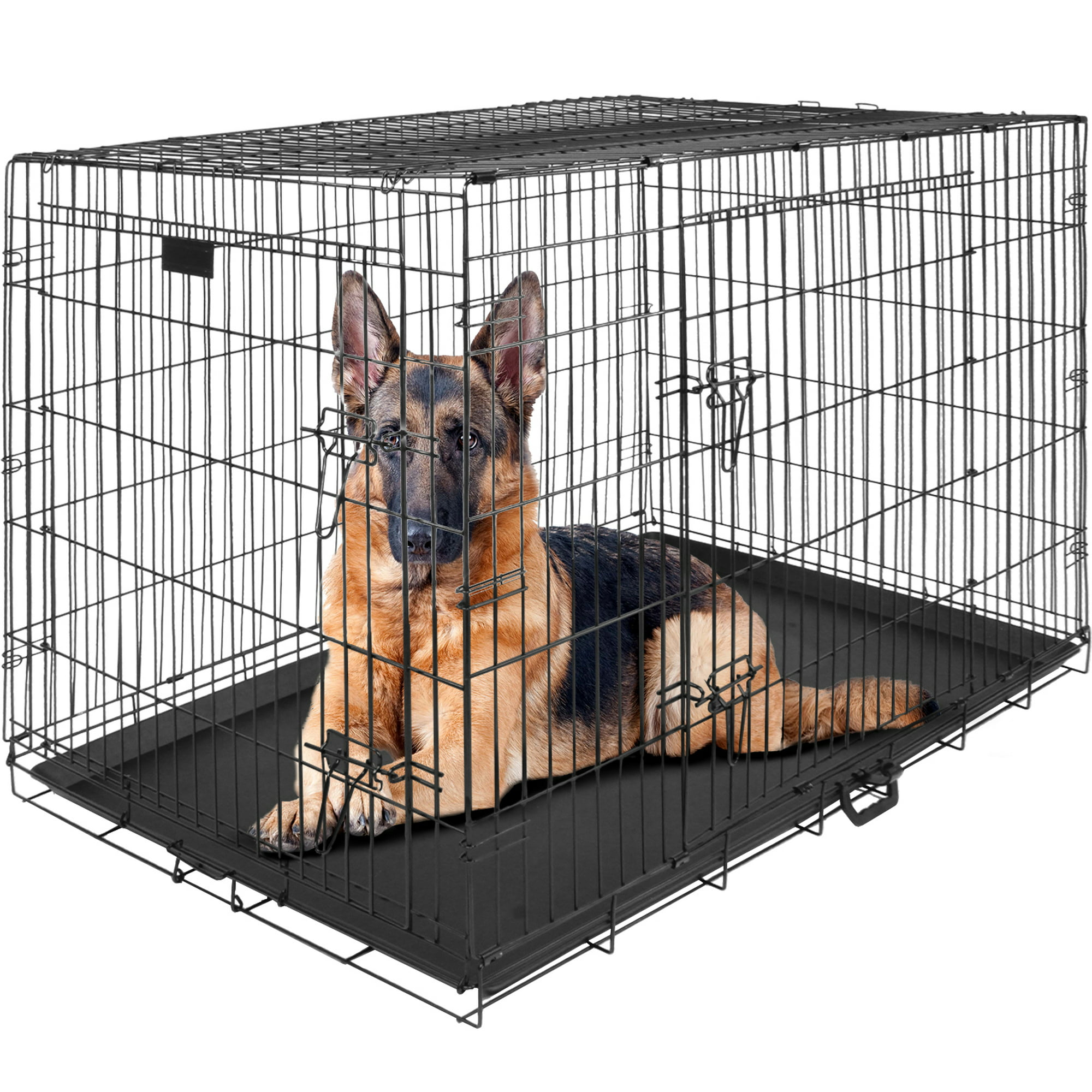 Entrenar a tu perro con una jaula