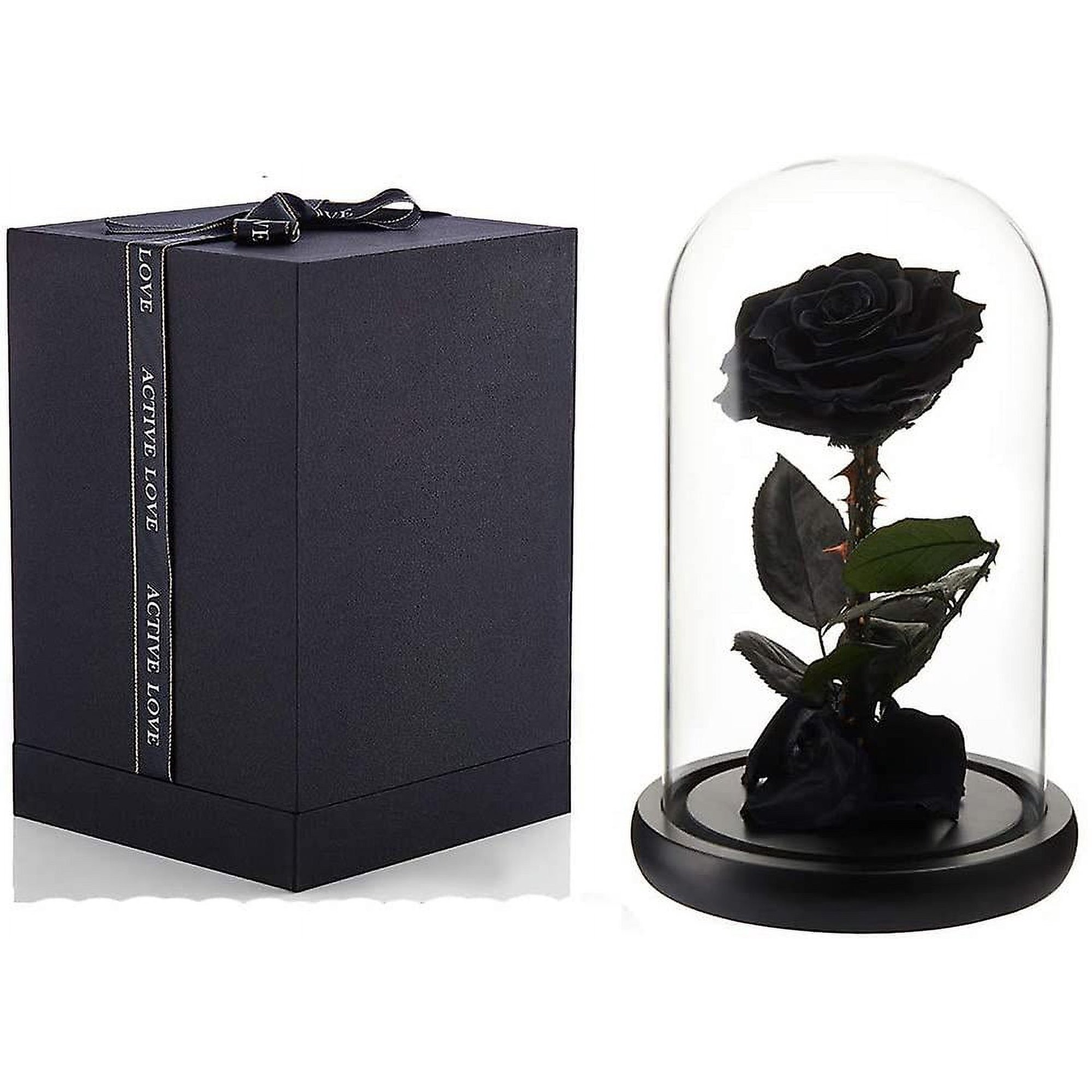 Forever Preserved - Rosa negra real preservada, regalos de cumpleaños para  mujeres, regalos de San Valentín, flor eterna negra en cristal, regalos