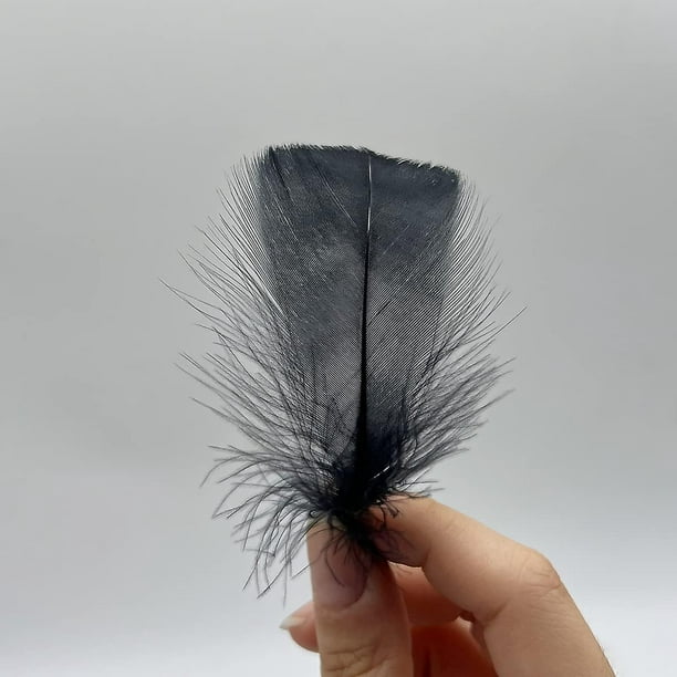 100 plumas negras de 4 a 6 pulgadas para manualidades y atrapasueños,  ribete de flecos y proyectos de bricolaje, material de plumas de colores