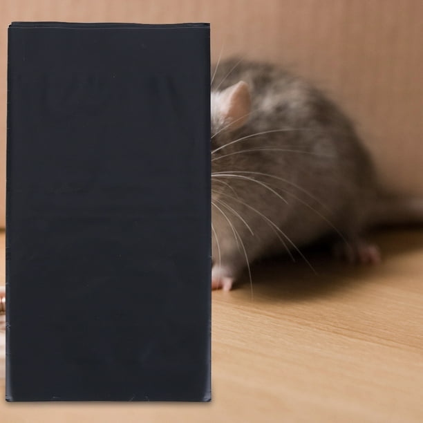 Trampas de Pegamento para Ratas y Ratones - Todo Ferreteria