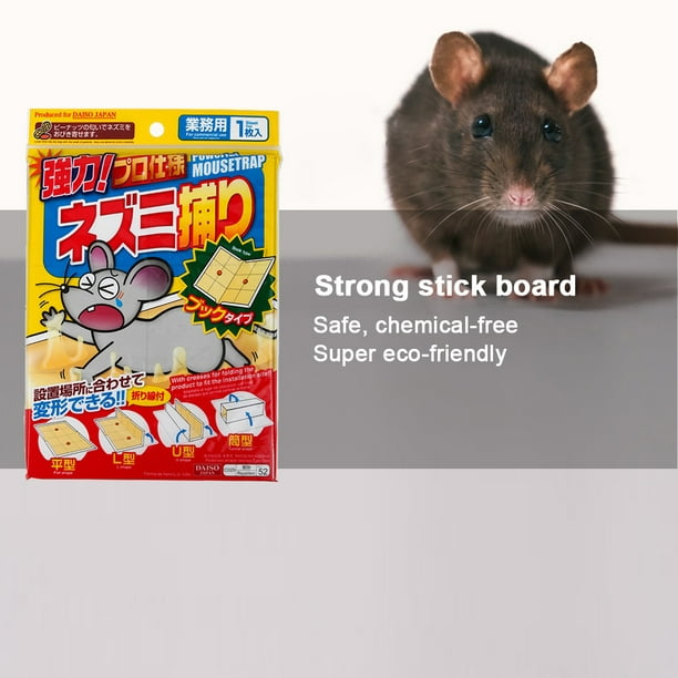 Trampas de pegamento ratones, fáciles de colocar, trampas para ratas y ratones, trampa rat Ehuebsd Para estrenar | Walmart en línea