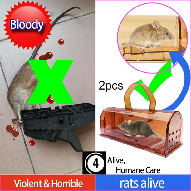 2x trampas para ratones, trampas para de seguridad Zulema trampa para  ratones atrapa plagas