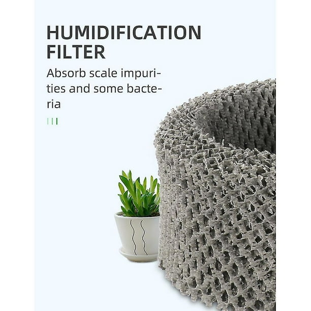 Filtro humidificador de 6 uds Compatible con filtros Philips