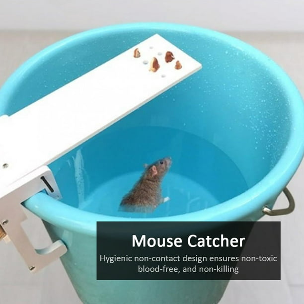Ratonera para ratones