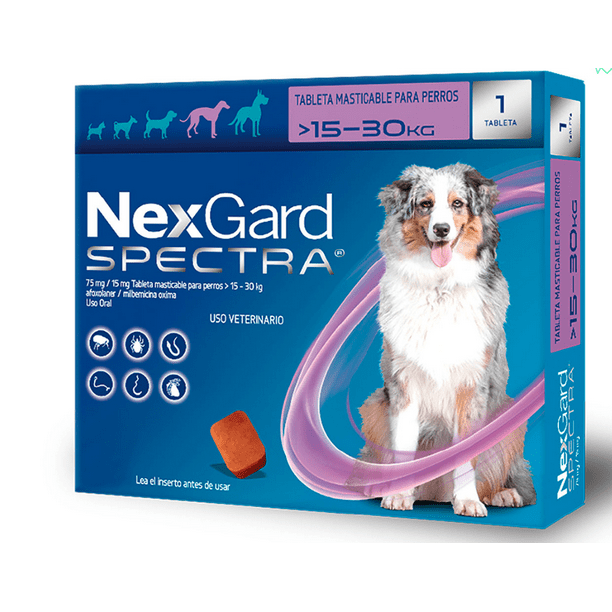 Nexgard walmart hot sale