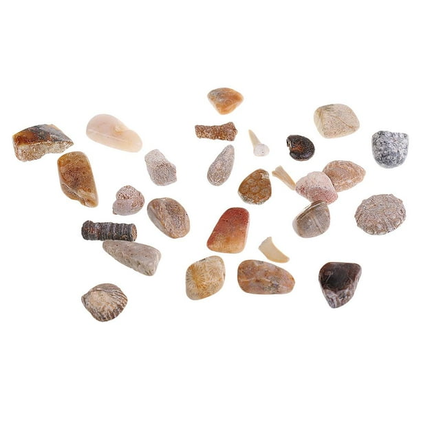 Muestras de minerales naturales Minerales Piedras Espécimen