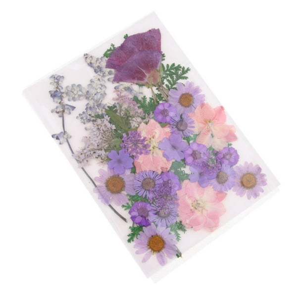 The Flower Press Kit -   Manualidades, Flores prensadas