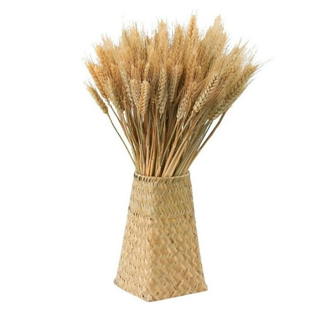 Flores secas espigas de trigo espigas de trigo 100 palos de trigo