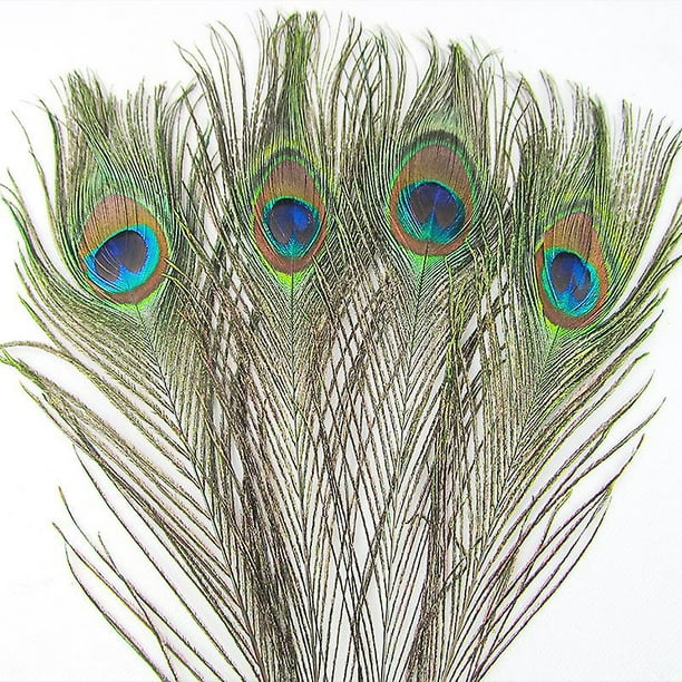 Plumas de pavo real naturales para manualidades, decoración de