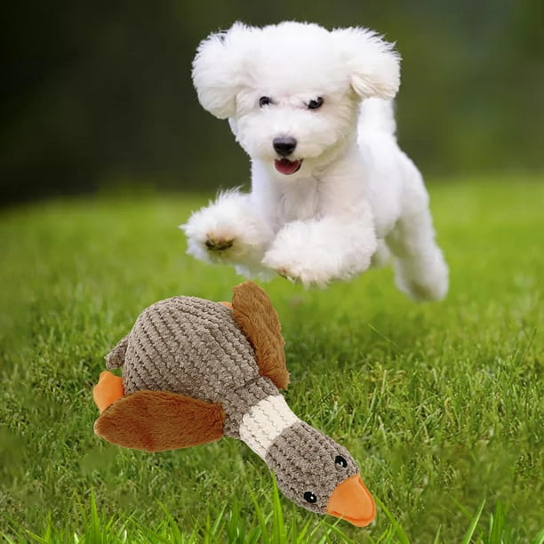 Juguete para perros con doble ventosa – Chaski Go