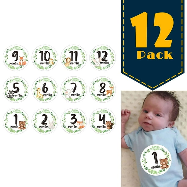 12 hojas de tarjetas de hitos mensuales para bebé, tarjetas de momento de  foto de nacimiento a 12 meses, recuerdo de foto Unisex para niños y niñas