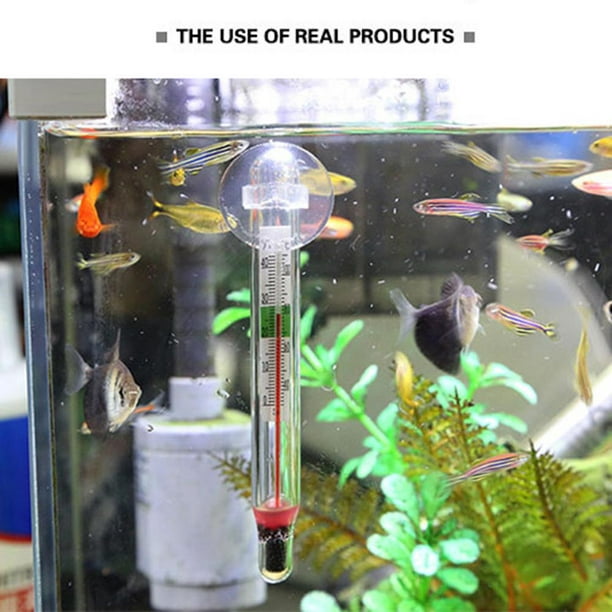 Comprar Termómetro de cristal sumergible para pecera de acuario