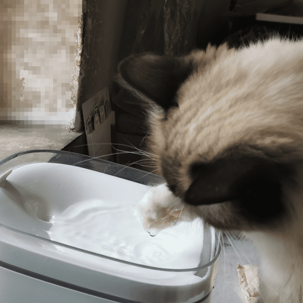 Dispensador De Agua Inteligente Para Mascotas –