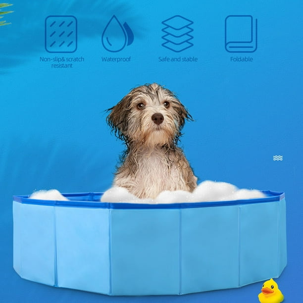 PawHut® Bañera para Perros Gatos Plegable Piscina para Mascotas Natación  Baño Φ140x30cm Color Azul