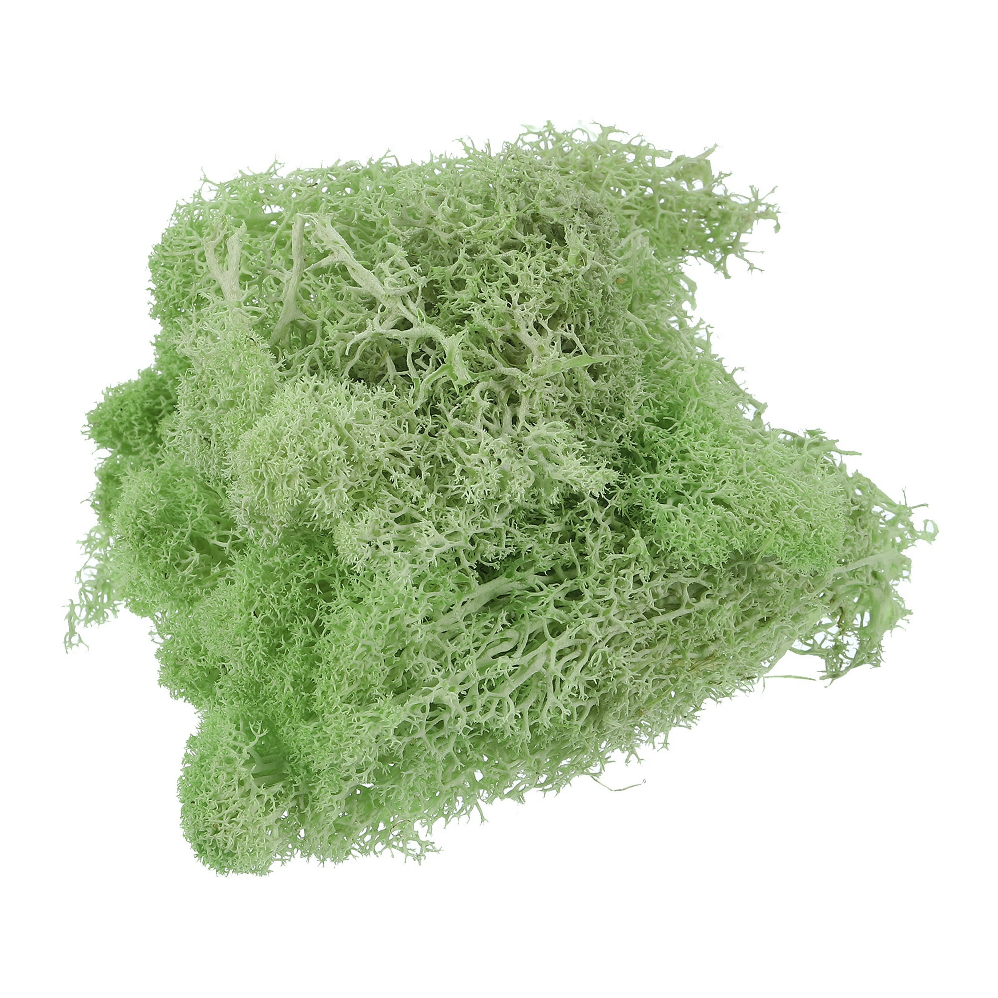Musgo decorativo para manualidades mix verde, verde claro musgo  natural 100g-700047-2