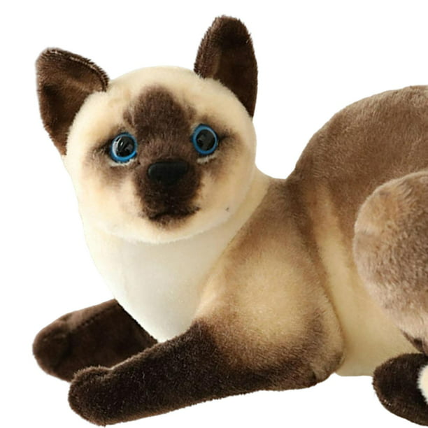 Bonitos juguetes de peluche de gato, muñecas de personajes, peluches de  animales de peluche, peluches 3D, decoraciones de almohada suave, favorito  de