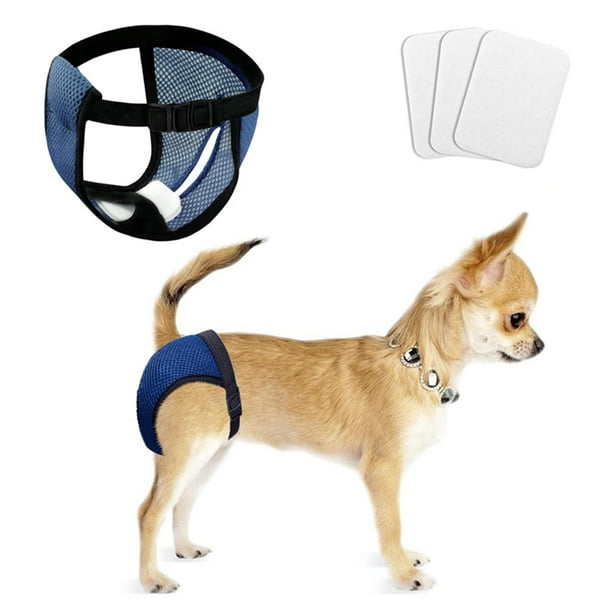 HEYWEAN Pañal para perros de cuerpo completo con pañales para cachorros,  traje de recuperación fisiológica para perros machos y hembras