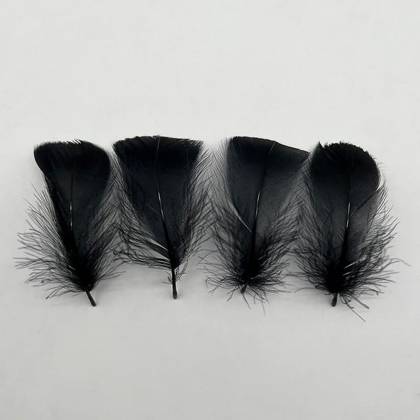50 plumas negras de 10 a 12 pulgadas de largo, hermosas plumas para  manualidades (10.2-12.2 in), pluma de ganso natural bilateral de gran  tamaño, para