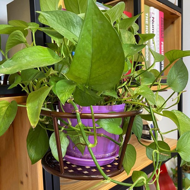 Maceteros colgantes para plantas de interior, colgador de plantas para  interiores con maceta colgante de pared, ventana, estante flotante de acero