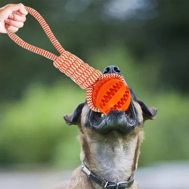 4 Juguetes con pelota y cuerda resistente para perros medianos