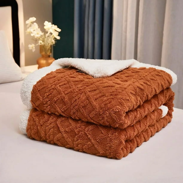  ASDFGHT Manta de invierno para cama, súper cálida y gruesa,  suave, manta de franela de doble cara, manta para siesta, mantas de TV, mantas  de sofá y más opciones (Color 