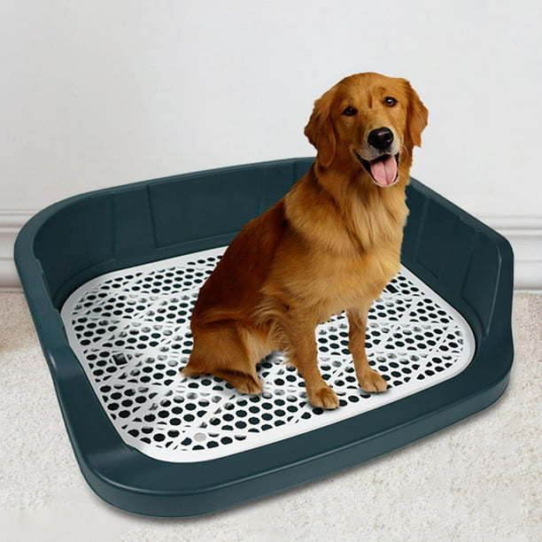Bandeja de arena para inodoro para perros, almohadillas de entrenamiento para  perros pequeños, inodoro reutilizable para entrenamiento de mascotas con  Azul Zulema Baño de perros
