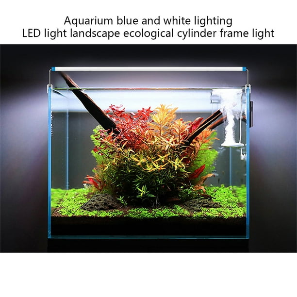 Luz blanca USB para acuario luz LED para acuario planta pecera luz para  plantas de agua dulce ANGGREK Otros