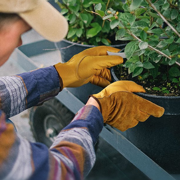 Guantes de trabajo de cuero duales para hombres y mujeres Guantes de  jardinería de cuero Ormromra CPB-US-DYP695-1