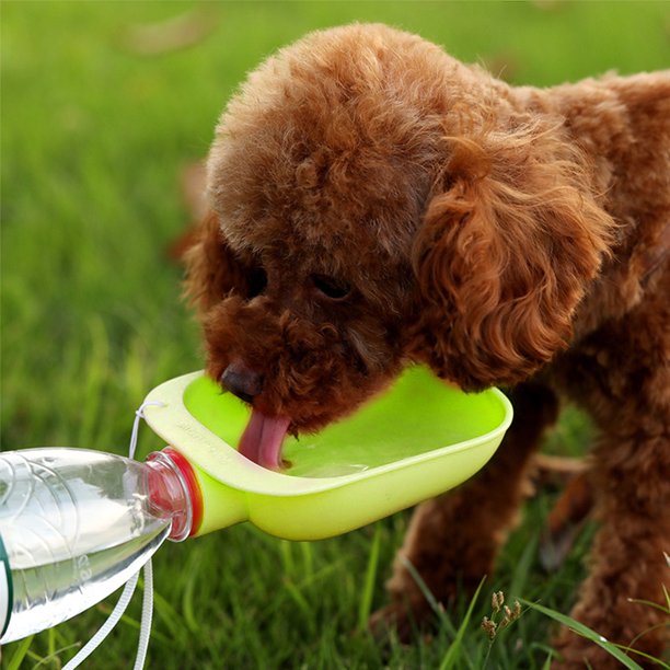 Dispensador de agua para perros pequeños y grandes, alimentador portátil  para mascotas, botella de agua para