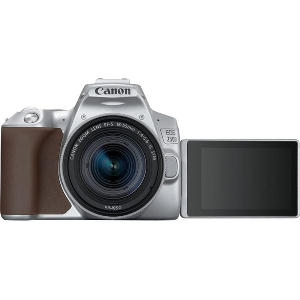 Canon 250D / SL3 4K Sólo Cuerpo + Memoria 64Gb de 100Mb/s + Bolso -  Importaciones Arturia