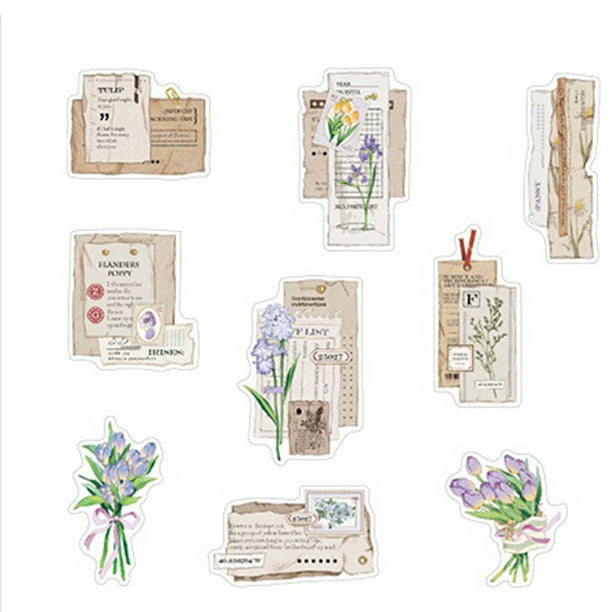 Pegatinas Decorativas 30 pegatinas para diario de álbum, pegatinas  creativas de plantas retro Washi, suministros de arte (C) Wdftyju