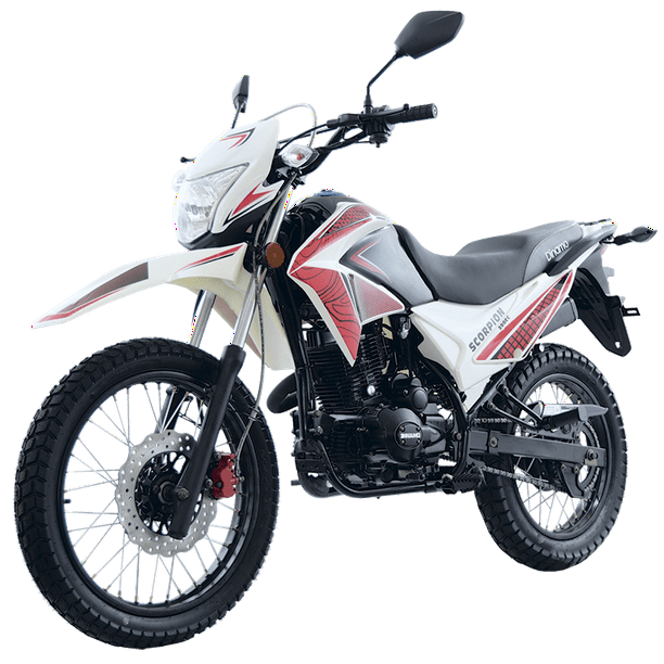 Moto dinamo 2025 scorpion 250 precio