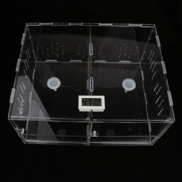 Caja de cristal para acuario, terrario con retroiluminación en transparente