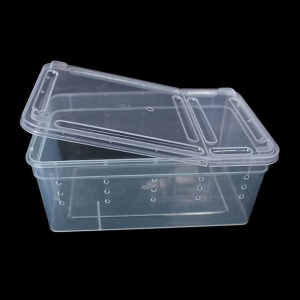 Pequeñas cajas de plástico transparente cajas de visualización, fundas  transparentes, caja de plástico transparente, cajas de terrario del sistema  Eco Conjunto de 12 PCS -  España