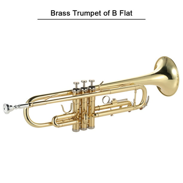 B- Trompeta plana Bb trompeta de plástico instrumento de trompeta para  niños estudiante principiante