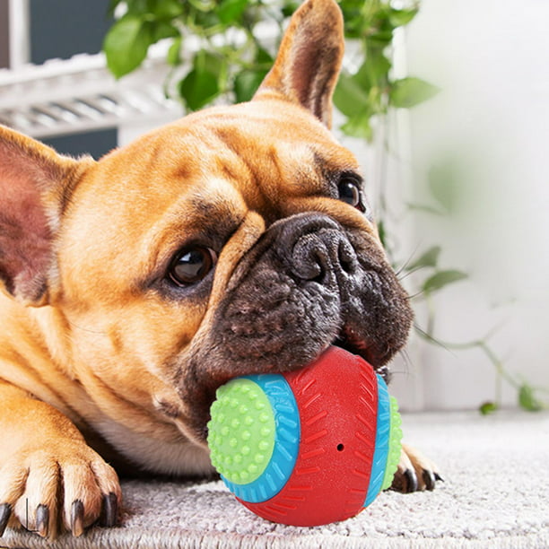 Pelotas de tenis para perros, paquete de 12 pelotas de tenis para perros  grandes y cachorros, pelota interactiva para atraer la atención de las
