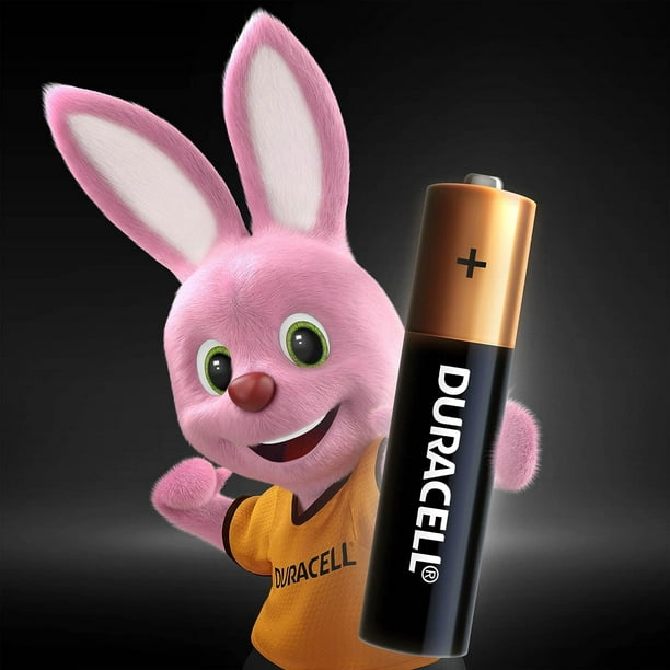 Duracell - Pilas AA alcalinas, baterías AA de Larga duración 1.5V