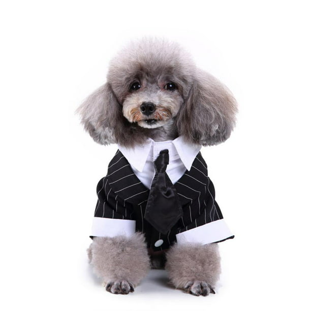 Privación negocio Moderador Ropa de boda para perros, traje para perros, ropa de esmoquin, disfraz,  pajarita, ropa para mascotas jinwen Esmoquin de la boda del perro del gato  | Walmart en línea